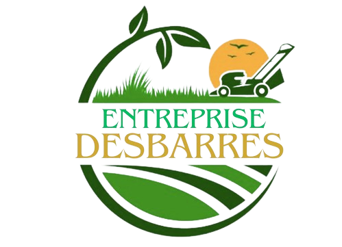 Desbarres removebg preview